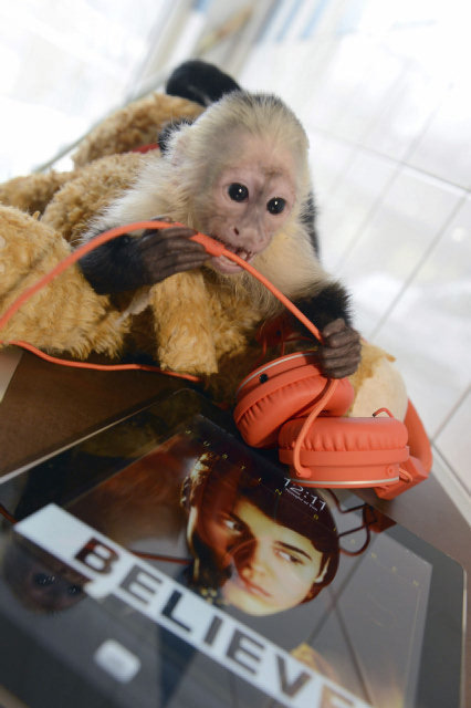 Mally 2